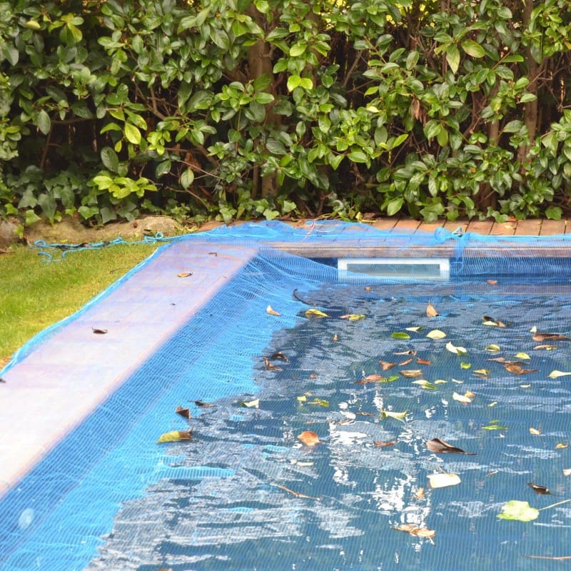 Filet anti-feuilles piscine sans fixation